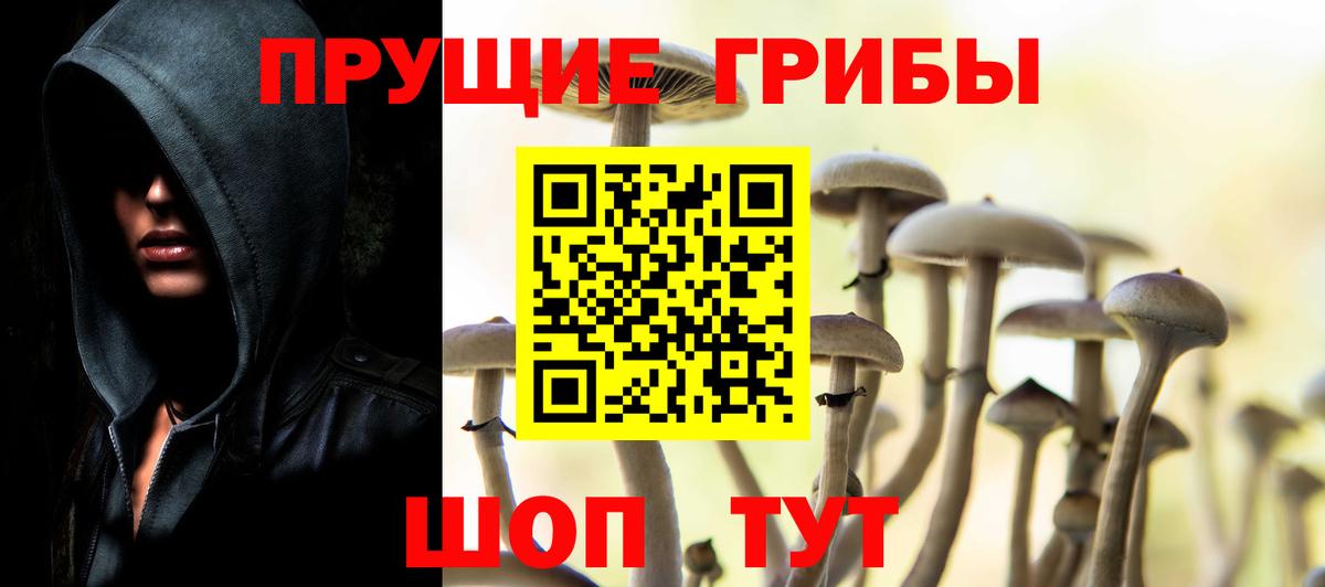 Псилоцибиновые грибы Psilocybine cubensis Уварово