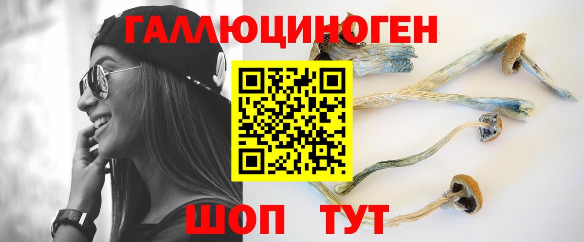 Псилоцибиновые грибы прущие грибы  Вход с VPN  Уварово 